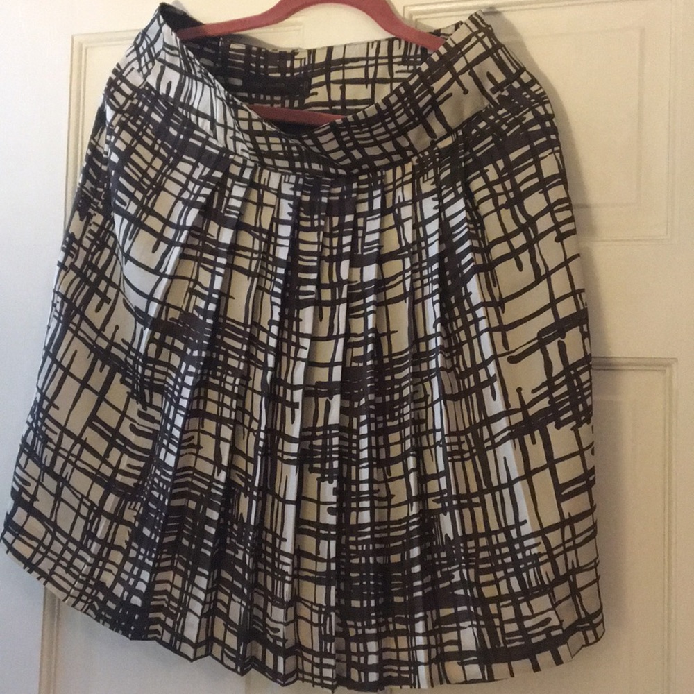 Pleated The Limited Skirt